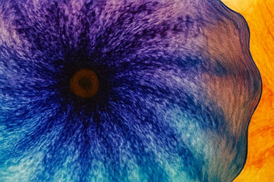 베타 존 치열한 경쟁