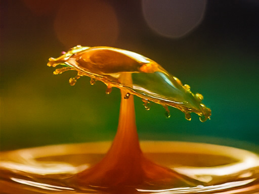 몰입형 모험의 시작